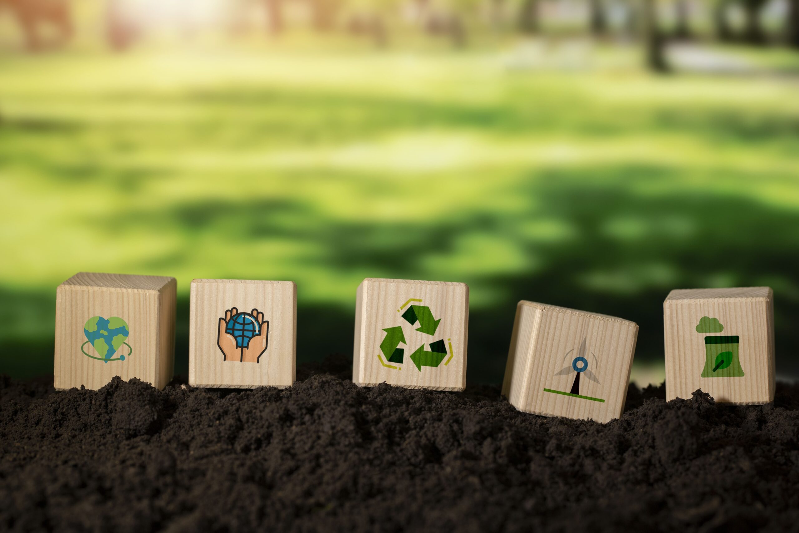 sustainable-development-goals-still-life-min